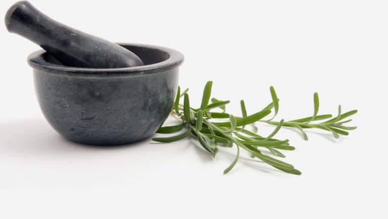 Are you passionate about providing holistic health solutions?