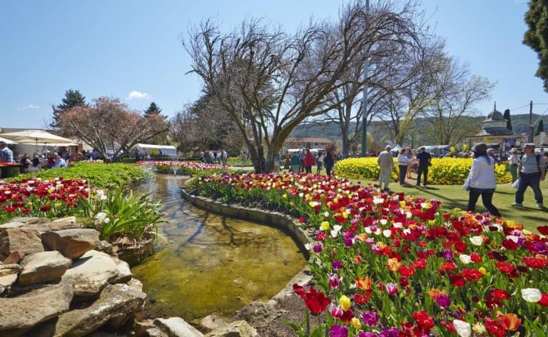 Fantastic Opportunity Available in the Southern Highlands of NSW