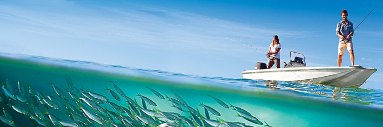 DREAM JOB Available on the South Coast of NSW